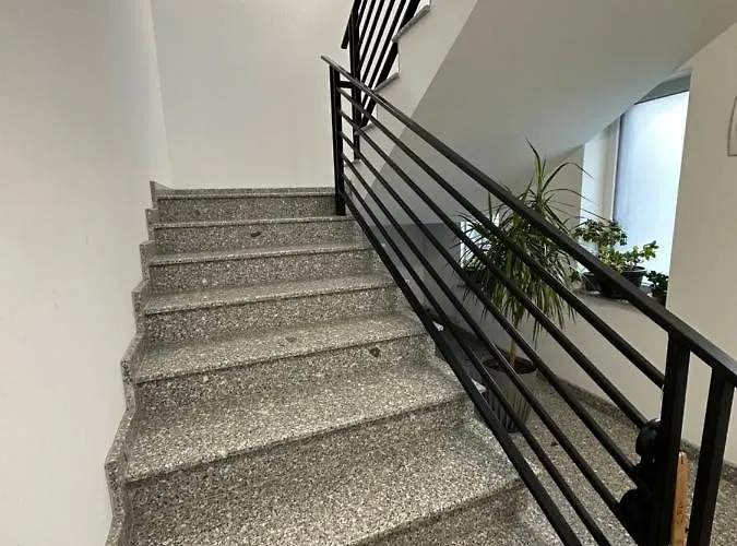 Park Boutique 크라이오바